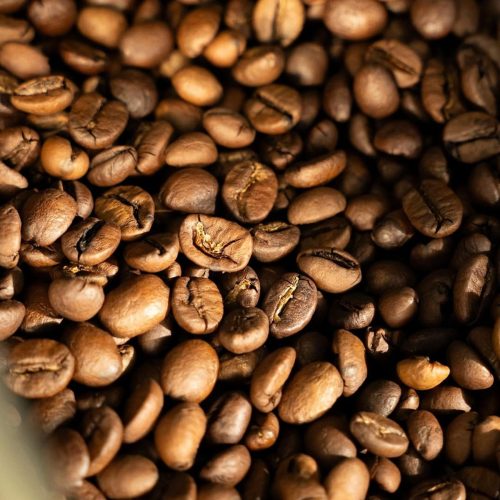 ARABICA